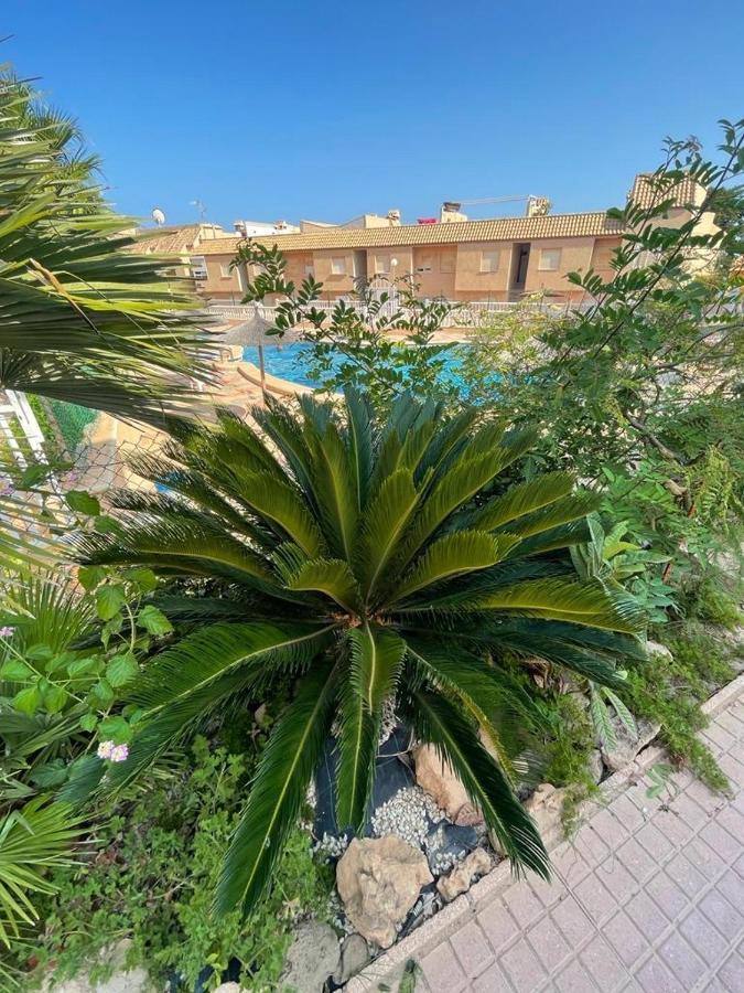 Apartament La Mata Torrevieja Buitenkant foto